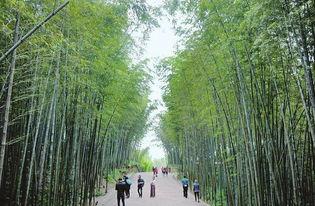 竹林小区新闻爆料最新,业主抗议物业,真相背后引关注 第1张 竹林小区新闻爆料最新,业主抗议物业,真相背后引关注 第1张